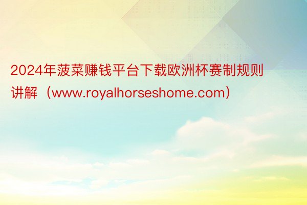 2024年菠菜赚钱平台下载欧洲杯赛制规则讲解（www.royalhorseshome.com）